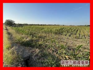 誠昱/麻豆都內3分方正.