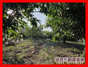 誠昱/安定南興國小旁3.